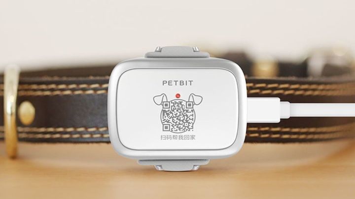 Xiaomi PetBit Akıllı Tasma Aparatı