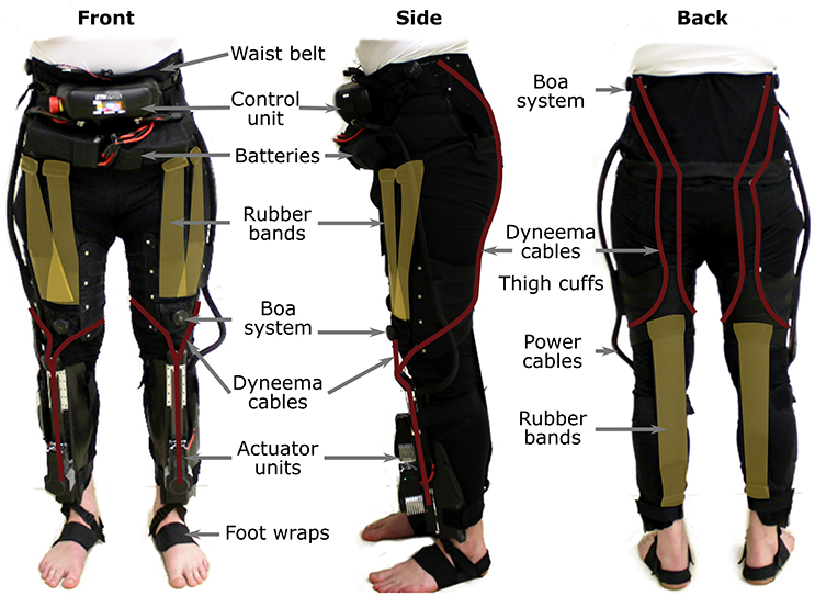 Myosuit Nedir